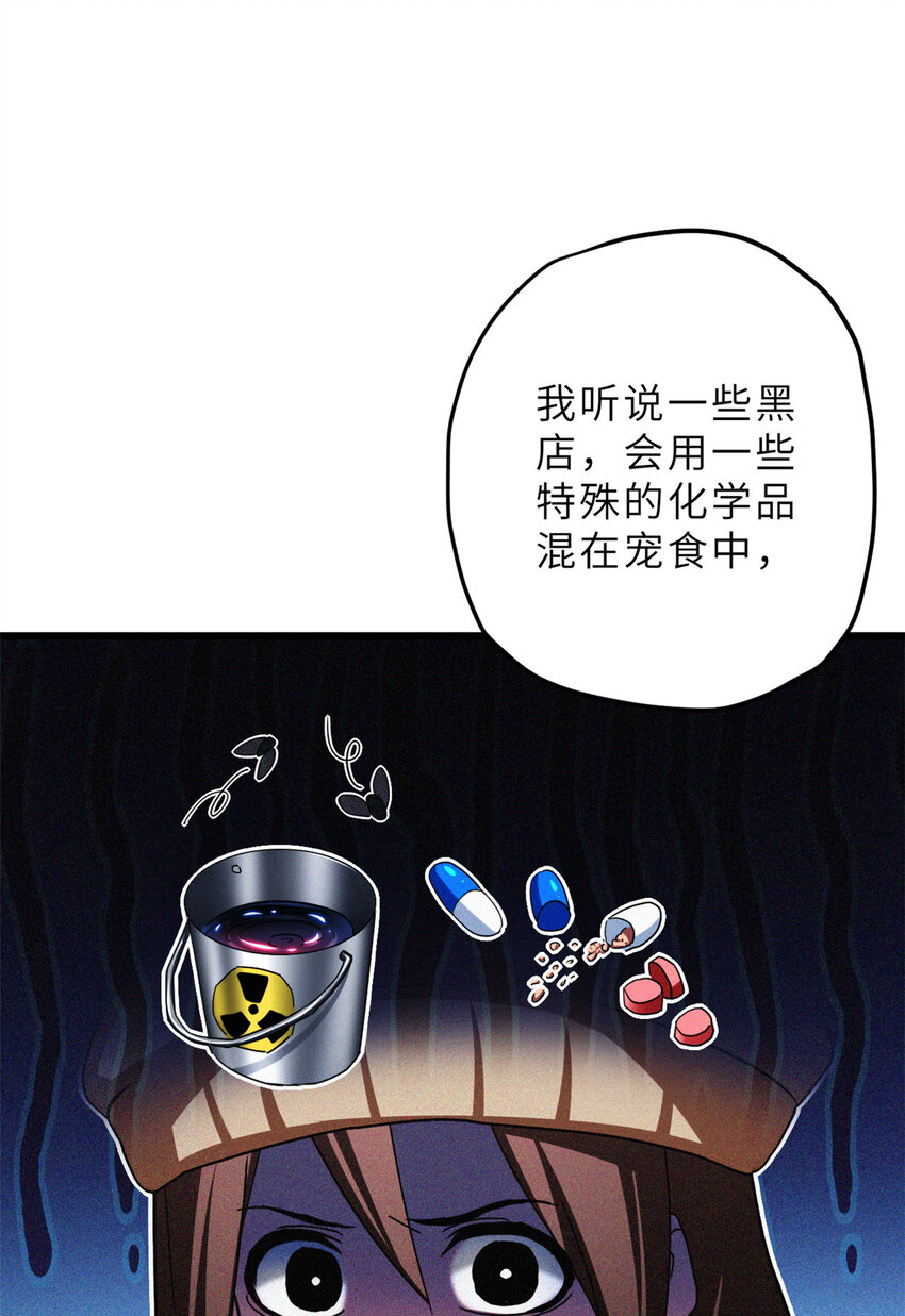 超神宠兽店漫画免费阅读下拉漫画,08 小淘气宠兽店1图