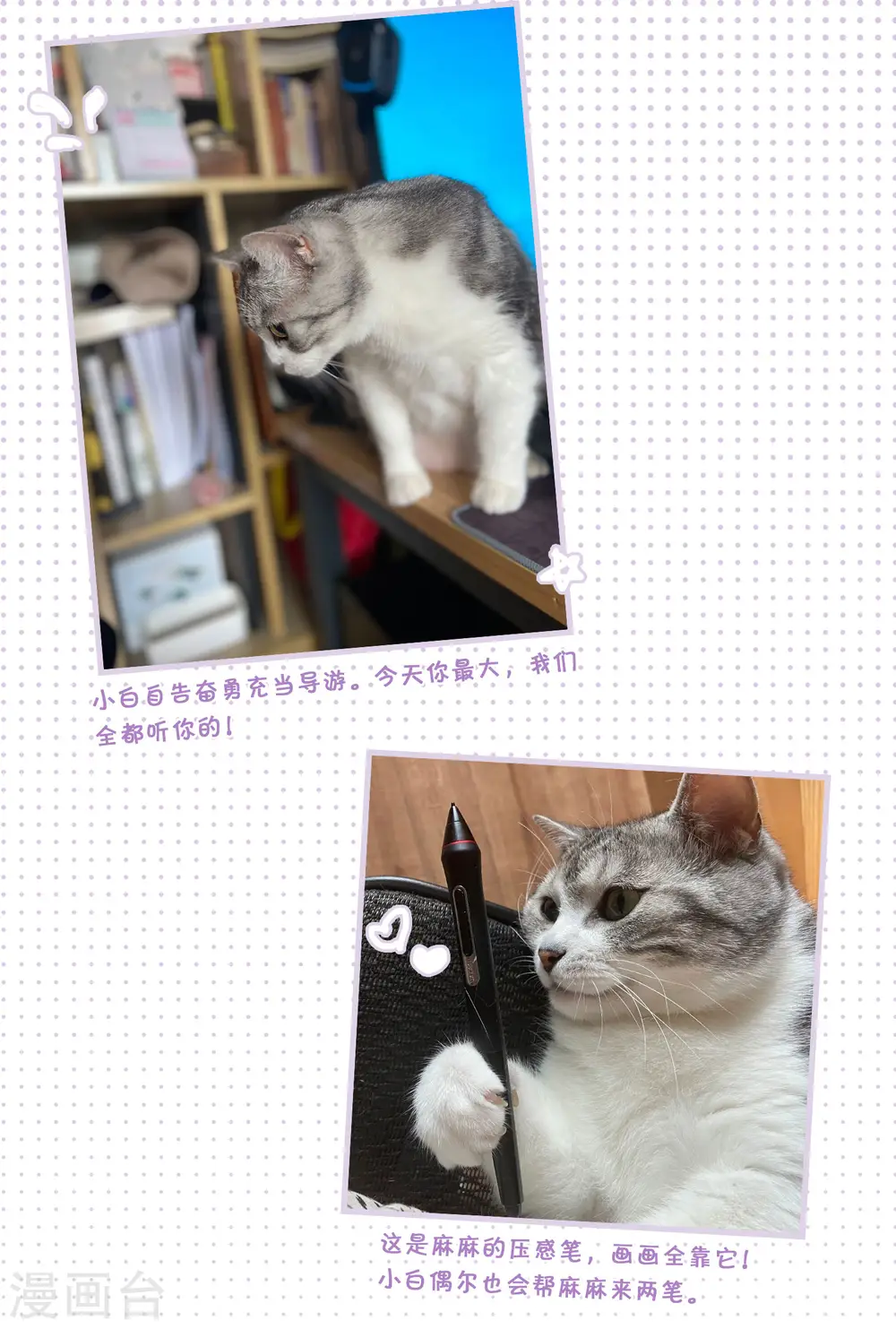 她来了，请趴下漫画,一周年活动32图