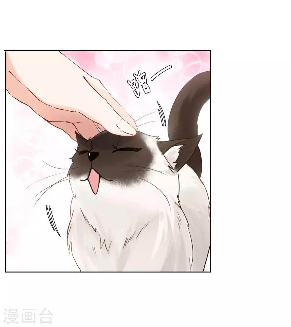她来了请趴下原著小说全文免费漫画,第11话 归来21图