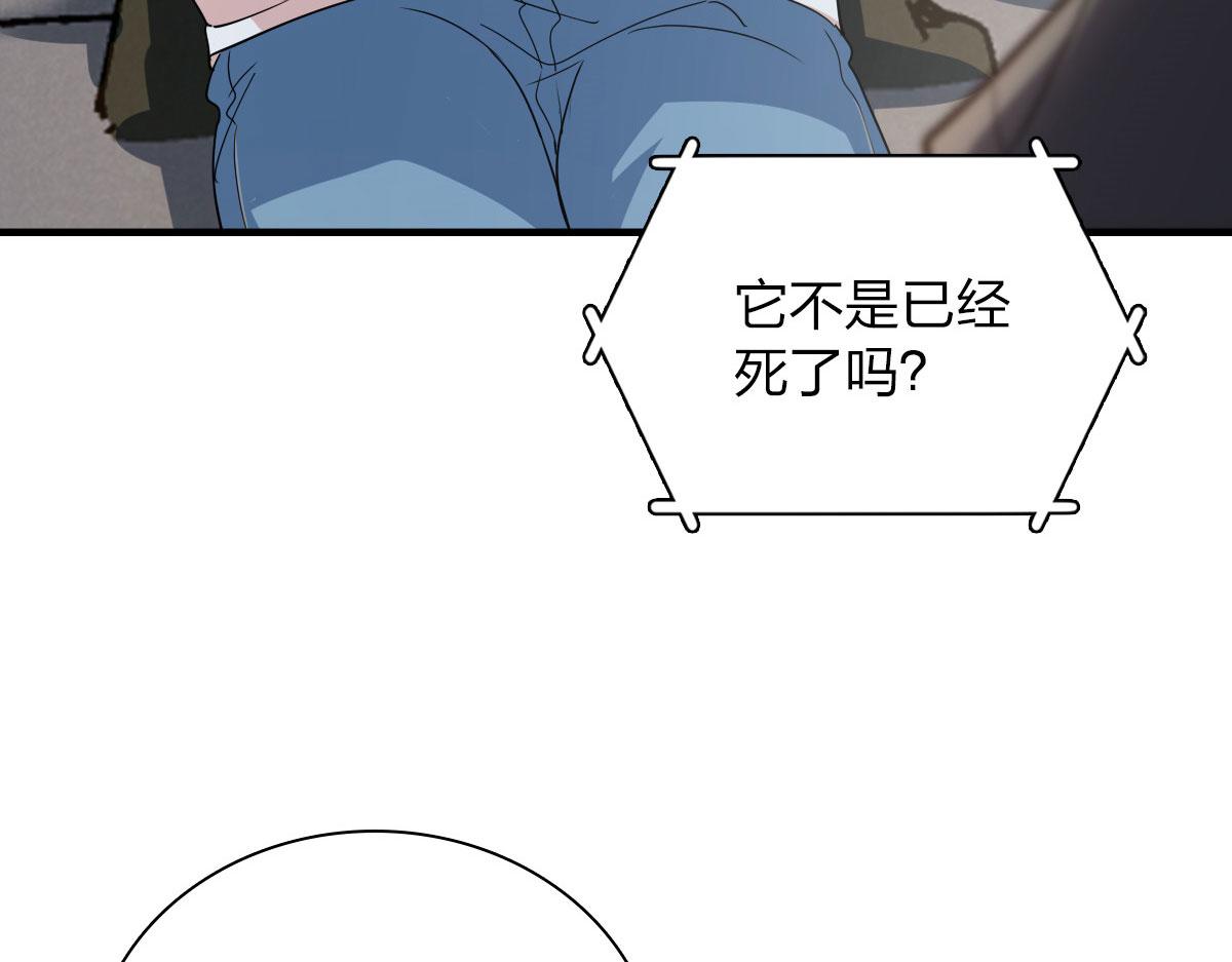 我家老婆来自一千年前免费漫画漫画,981图