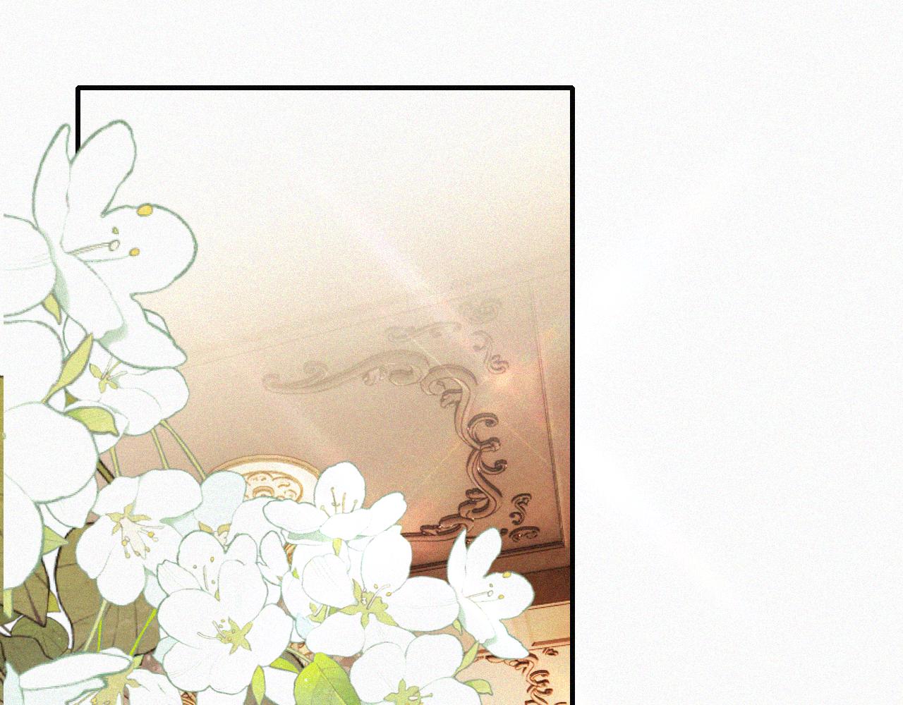偏偏宠爱图片漫画,第11话 目光1图