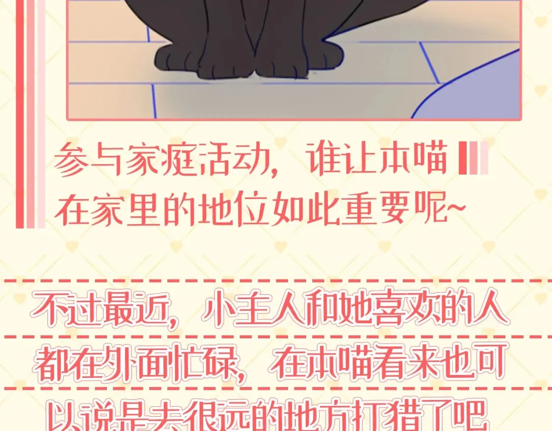 星辰于我漫画,第40期 特别企划：猫猫仙贝的悠闲生活2图