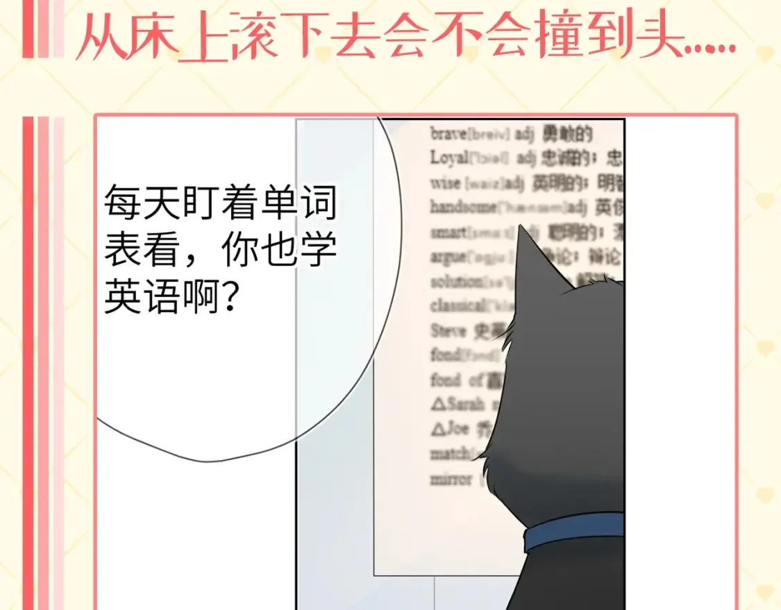 星辰于我小说全文免费阅读司南漫画,第40期 特别企划：猫猫仙贝的悠闲生活2图