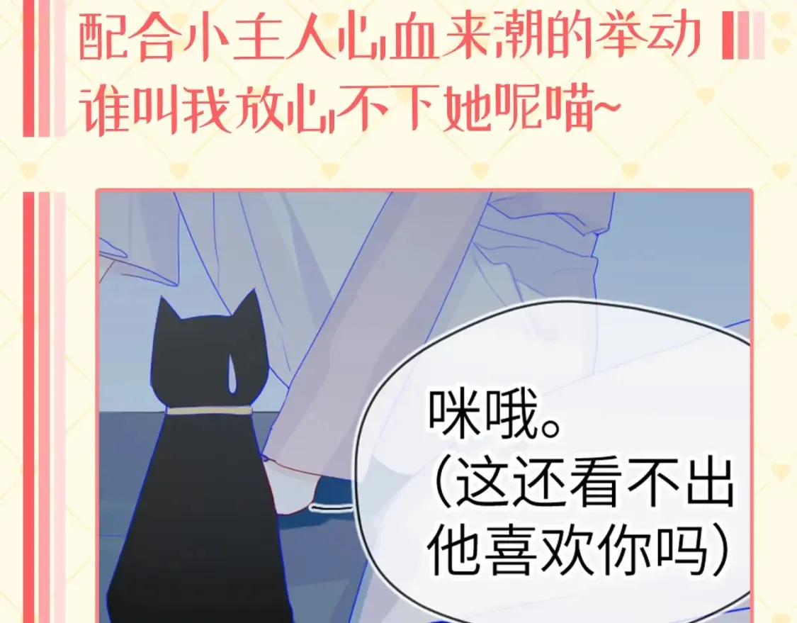 星辰于我全集漫画下拉式免费看漫画,第40期 特别企划：猫猫仙贝的悠闲生活1图