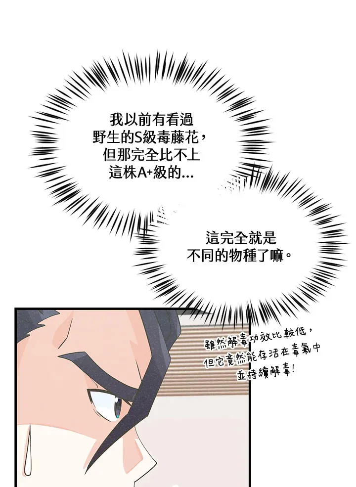 精灵农夫漫画,第41话2图