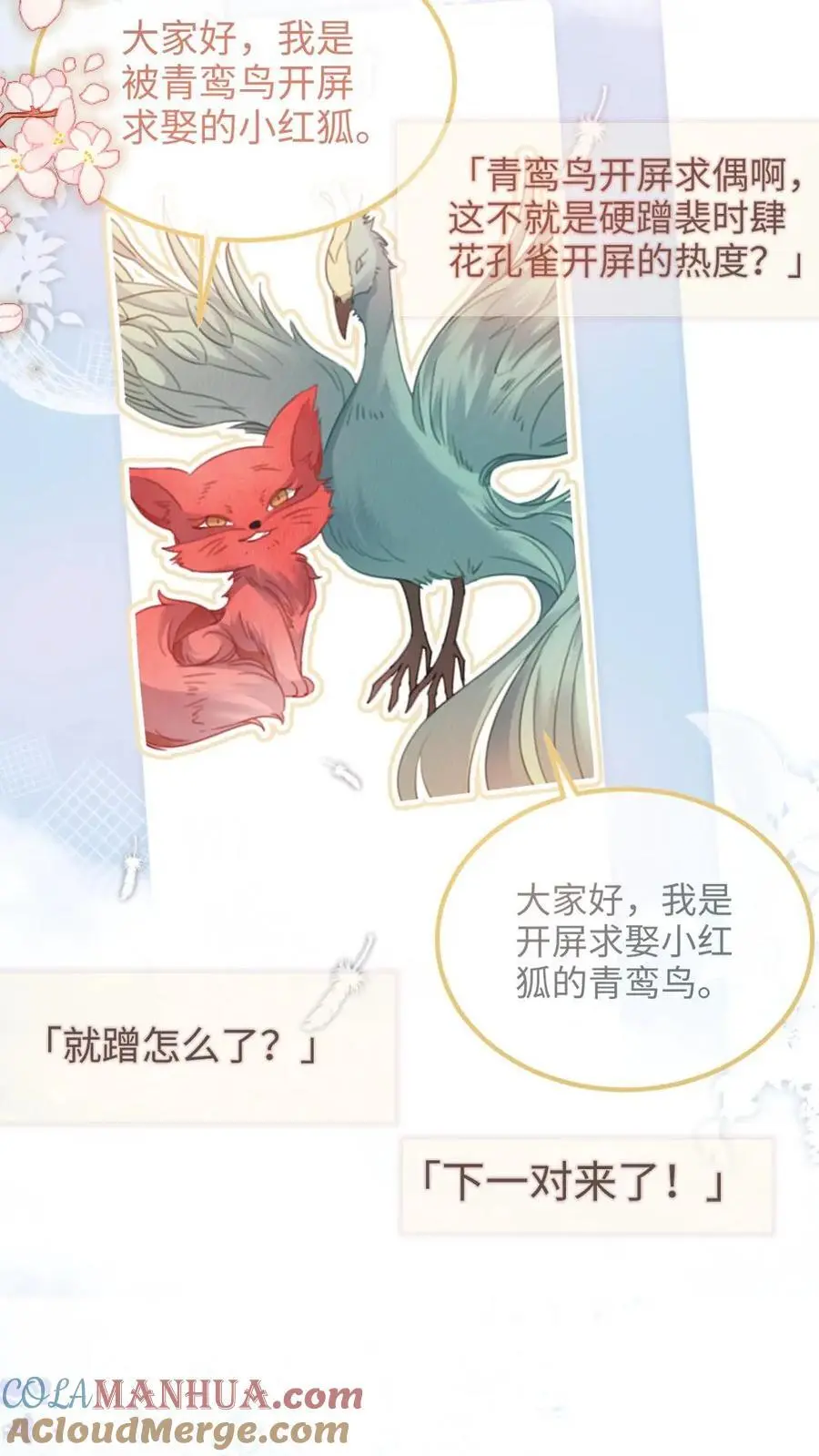 明撩！暗诱！和顶流影帝恋综撒糖漫画,第123话 青鸾鸟x红狐狸1图