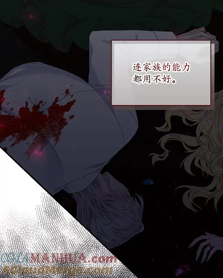 专门对付恶棍漫画,15.西琳克丝的身世1图