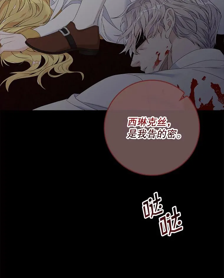 专门对付恶棍漫画,15.西琳克丝的身世1图