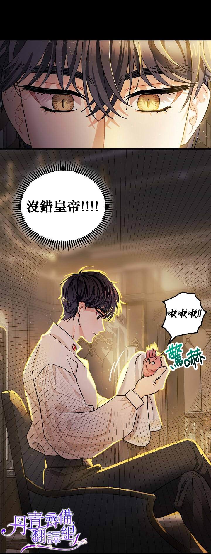 暴君的精神安定剂漫画,第5话2图