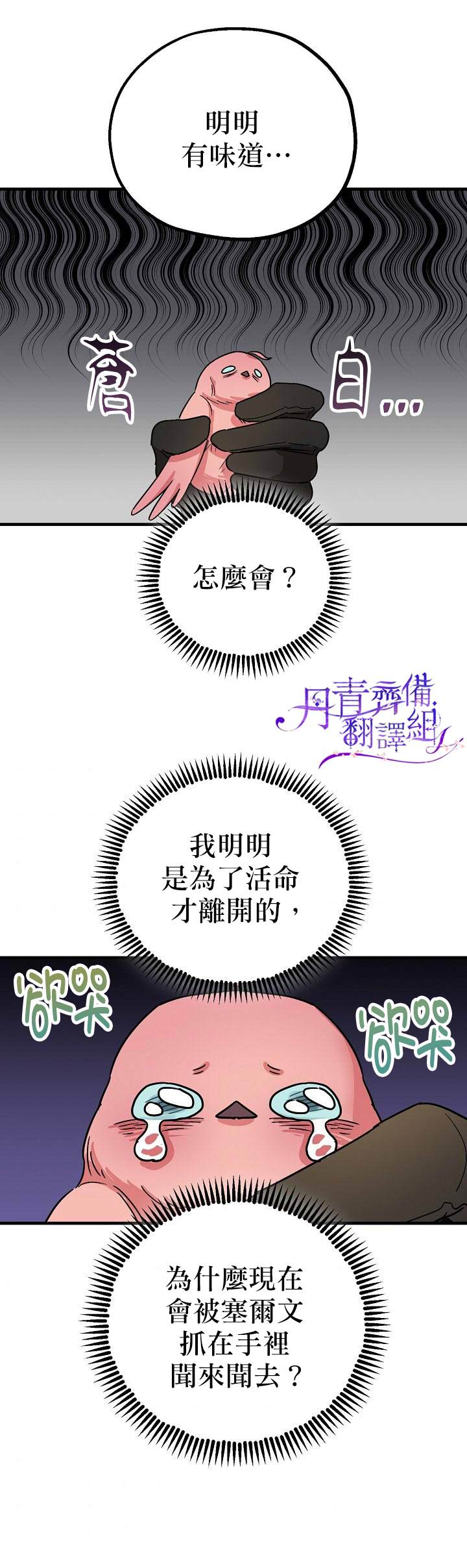 暴君的精神安定剂漫画,第4话2图