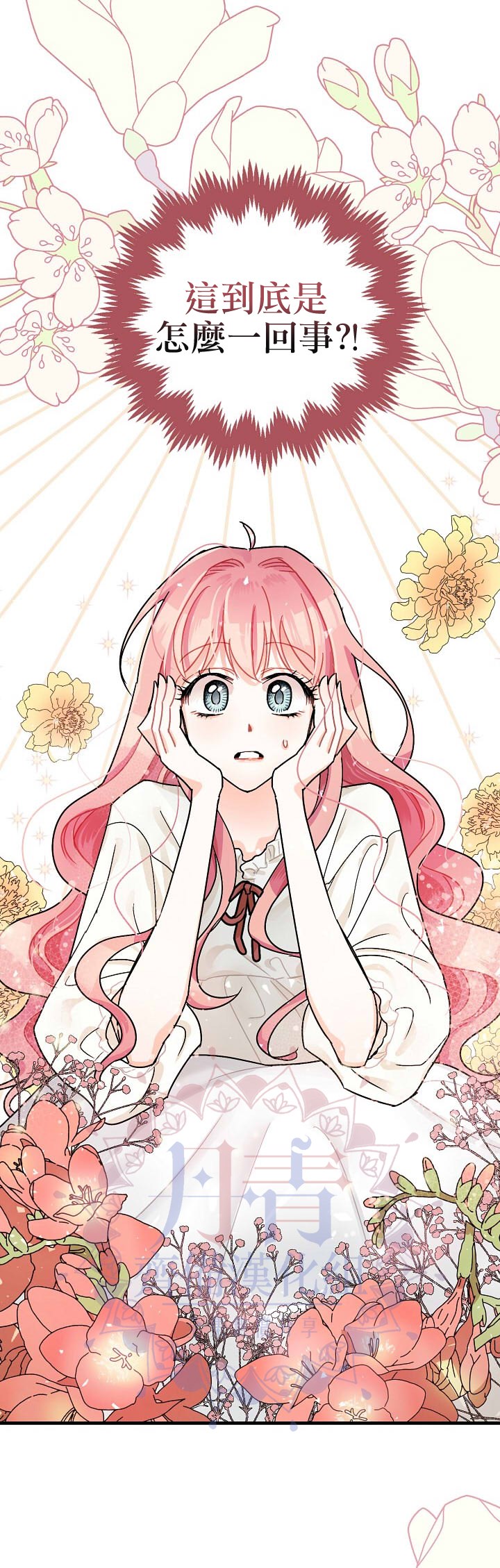 暴君的精神安定剂漫画免费漫画,第1话2图