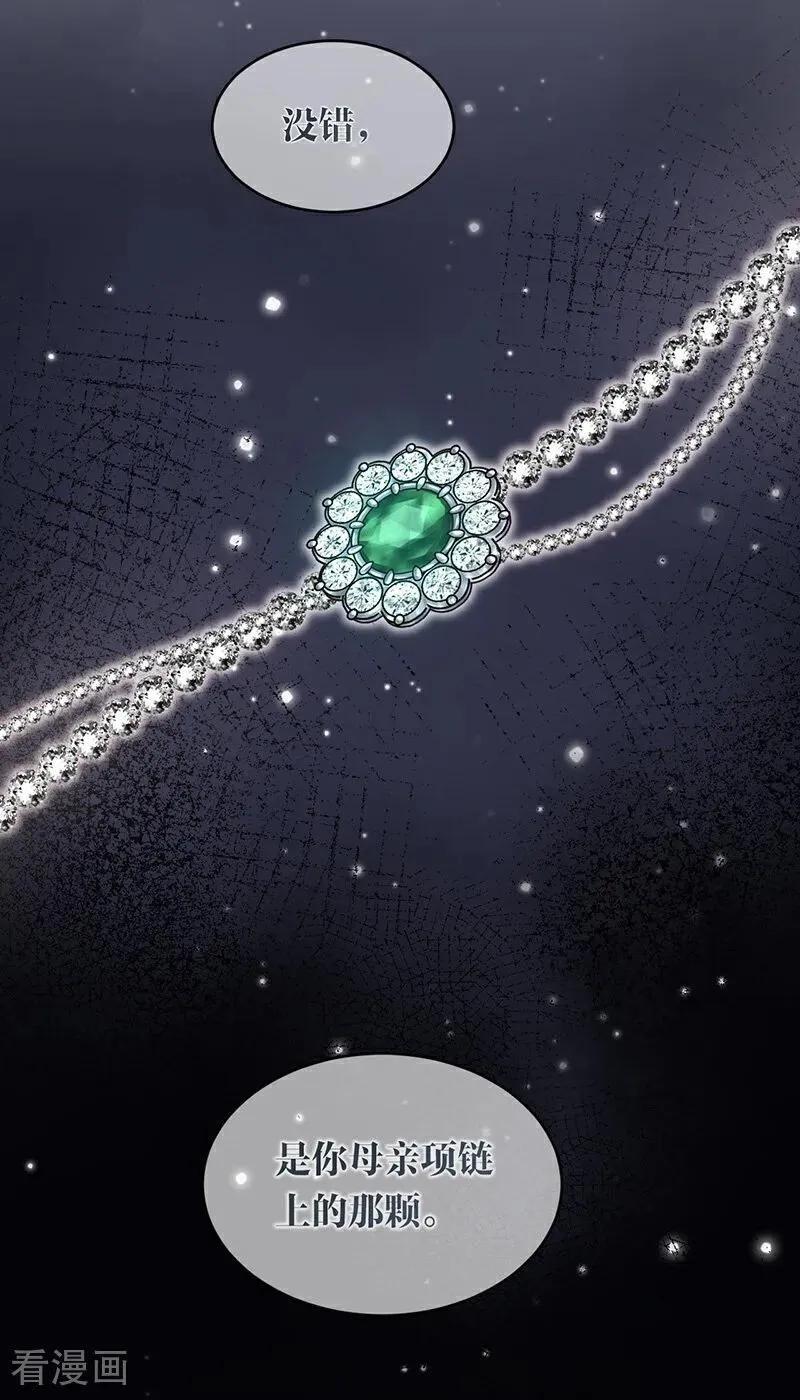 公爵家的毒之花漫画,第15话 晚宴1图