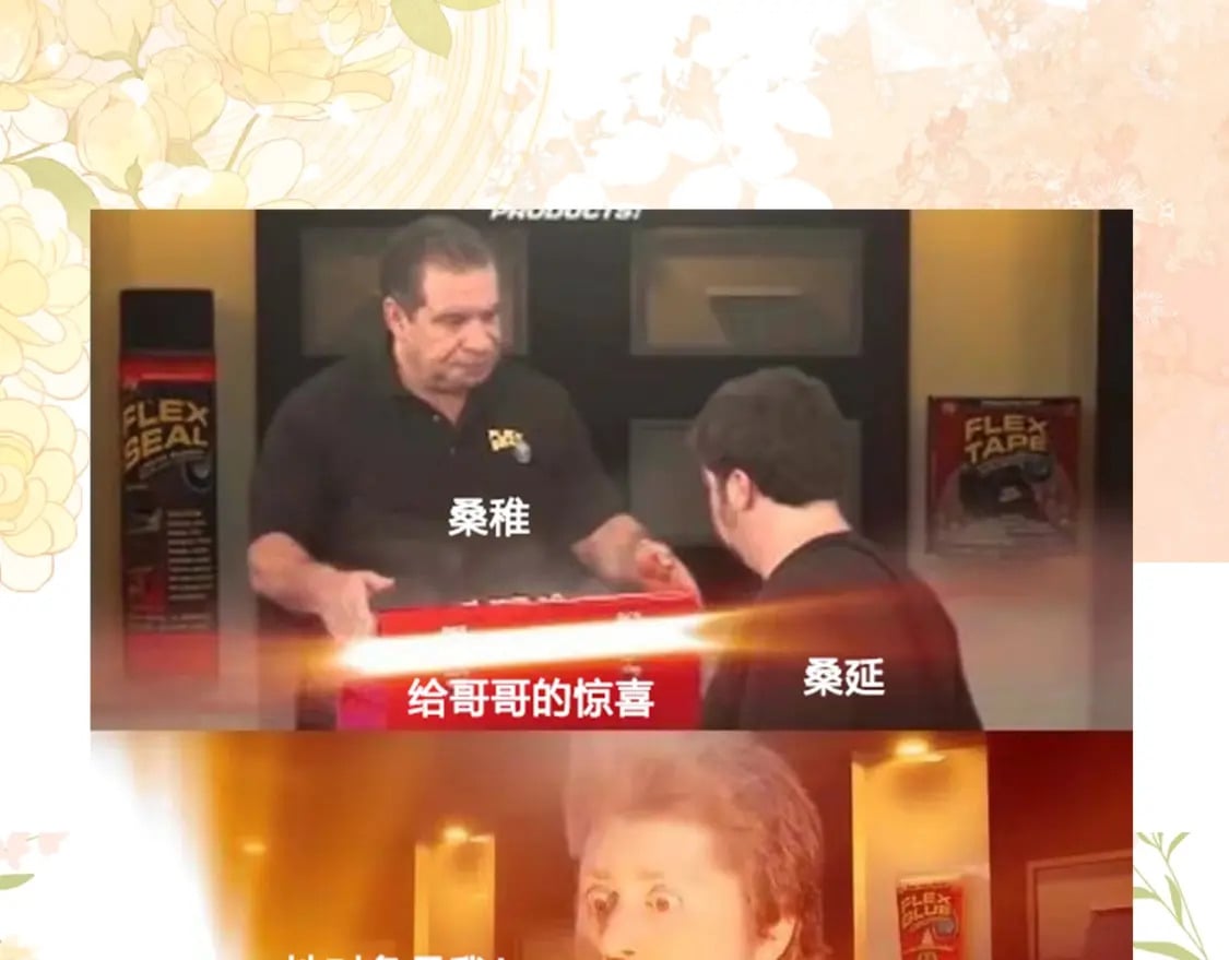 偷偷藏不住33漫画,第10期 【搞点事】梗图大赏2图