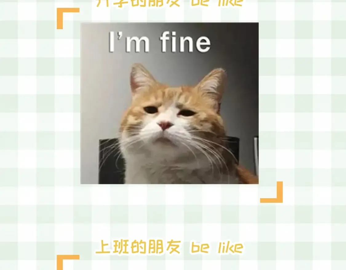 偷偷藏不住33漫画,第48期 8月整活总结2图