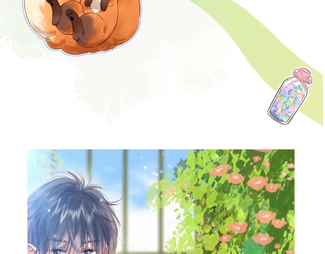 偷偷藏不住电视剧免费观看完整版星辰影视漫画,第6期 动态壁纸放送！1图