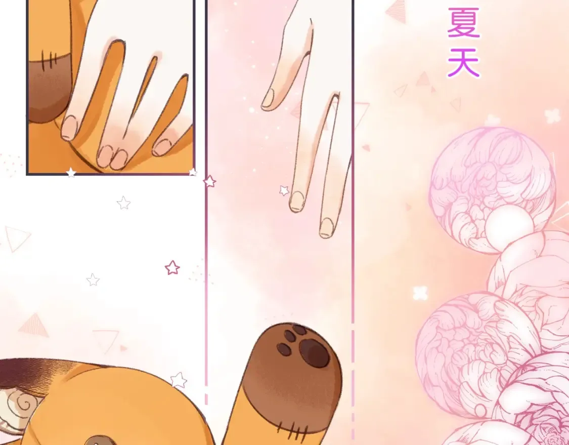 偷偷藏不住电视剧免费观看完整版星辰影视漫画,序章 偷偷第二季正式归回2图