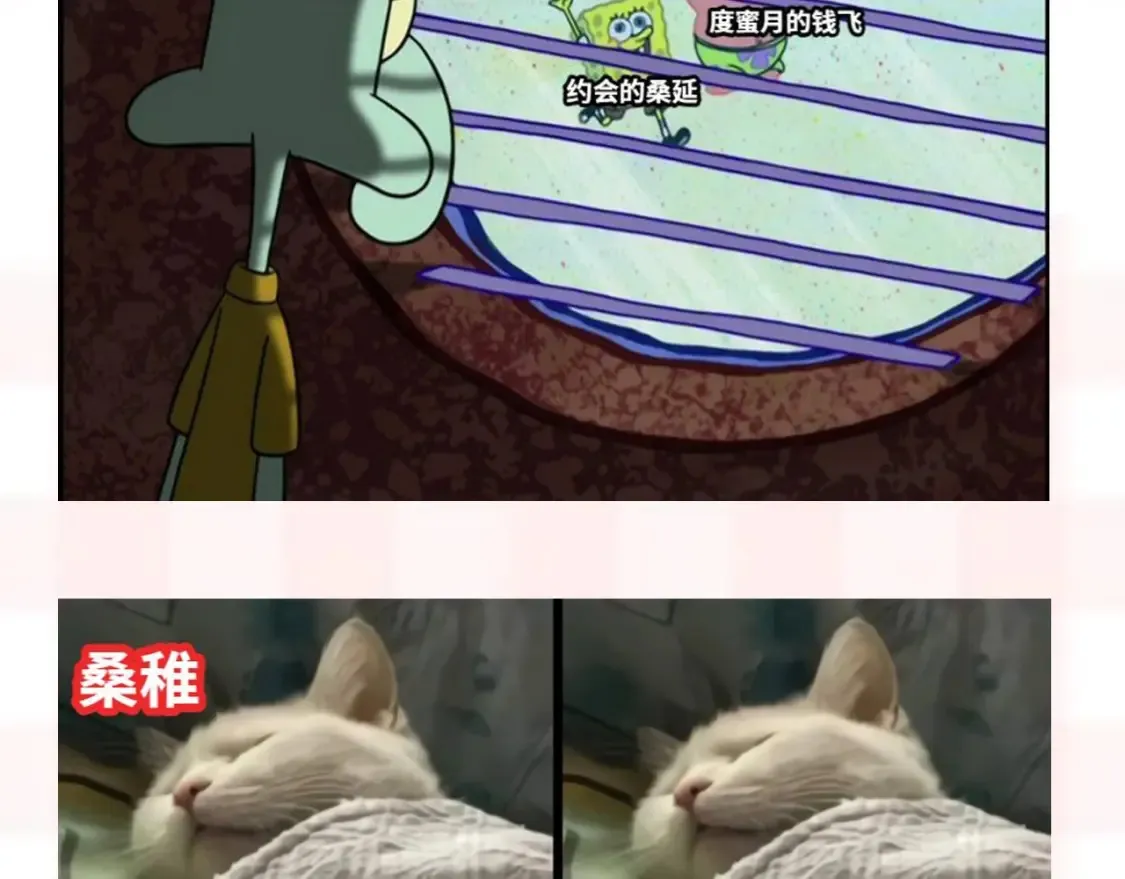 偷偷藏不住33漫画,第37期 梗图第二期来噜2图