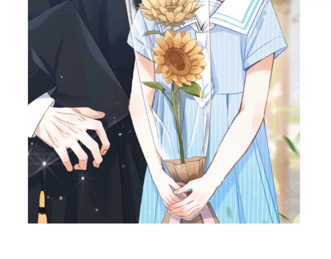 偷偷藏不住电视剧免费观看完整版星辰影视漫画,第6期 动态壁纸放送！1图