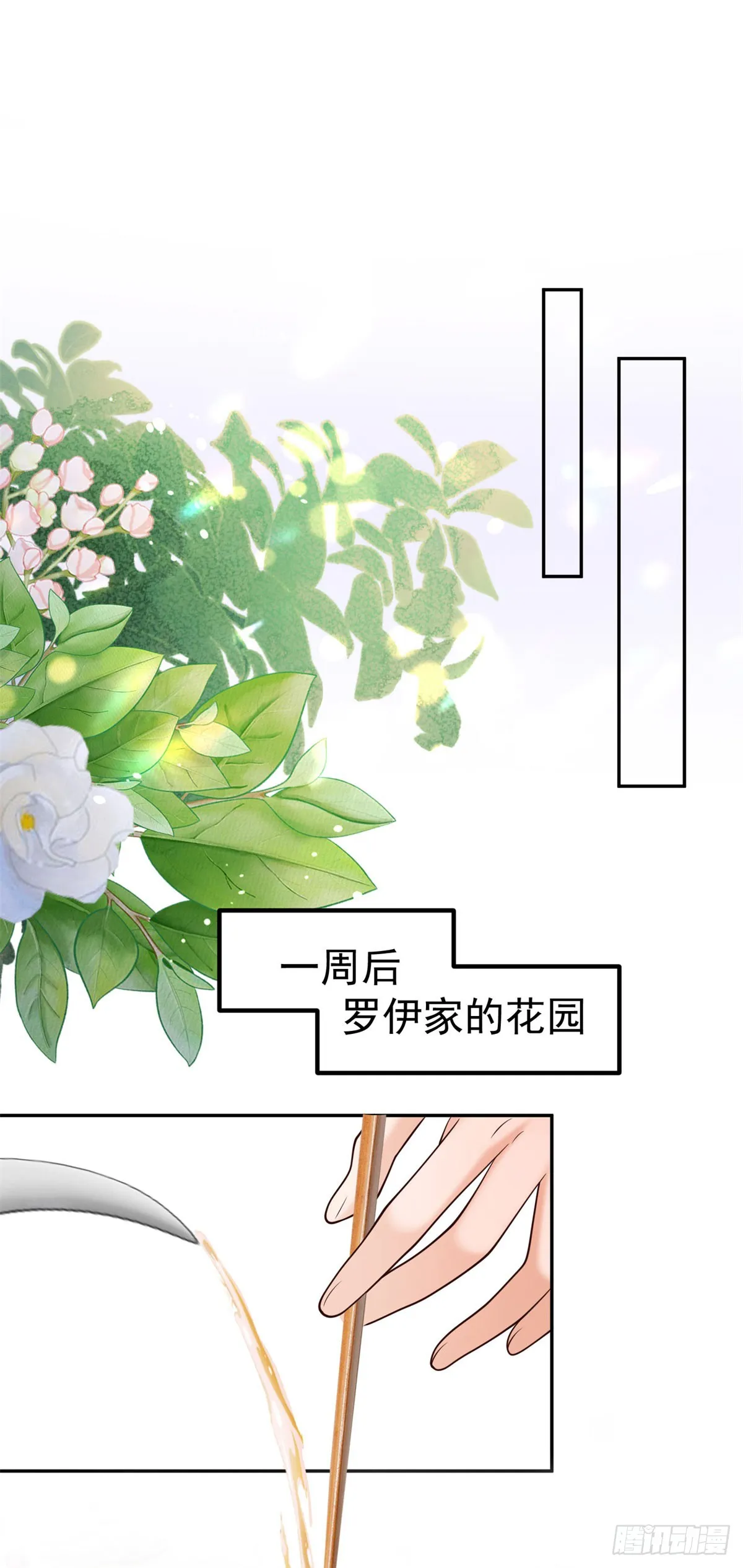 勇者少女二周目漫画,第17话 开始售卖咖啡豆2图