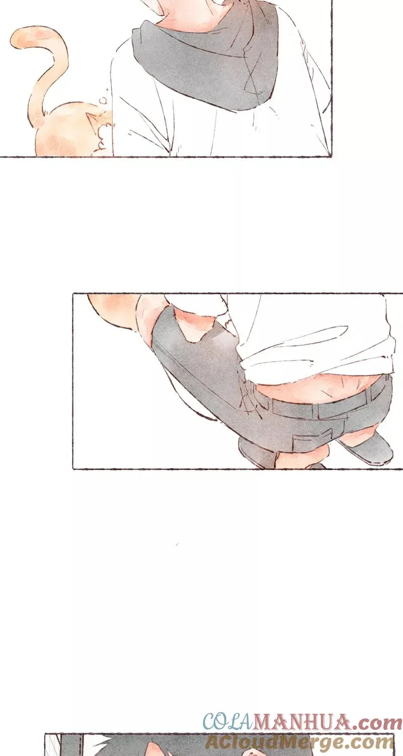 从谎言开始的恋爱 电视剧漫画,第48话1图