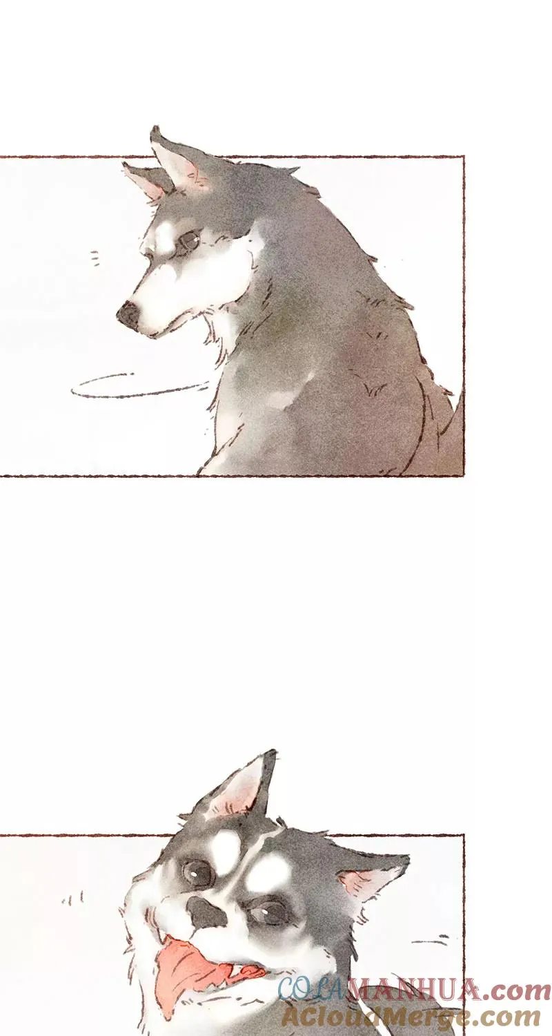 从谎言开始的恋爱 电视剧漫画,第58话2图