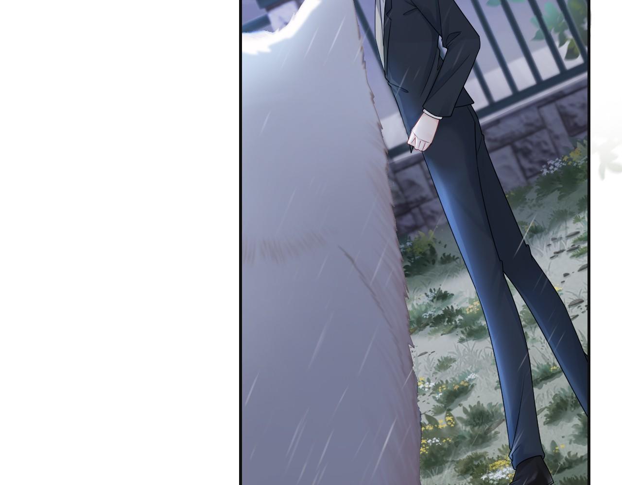 被大佬们团宠后我野翻了免费阅读漫画,第2话 带你回家1图