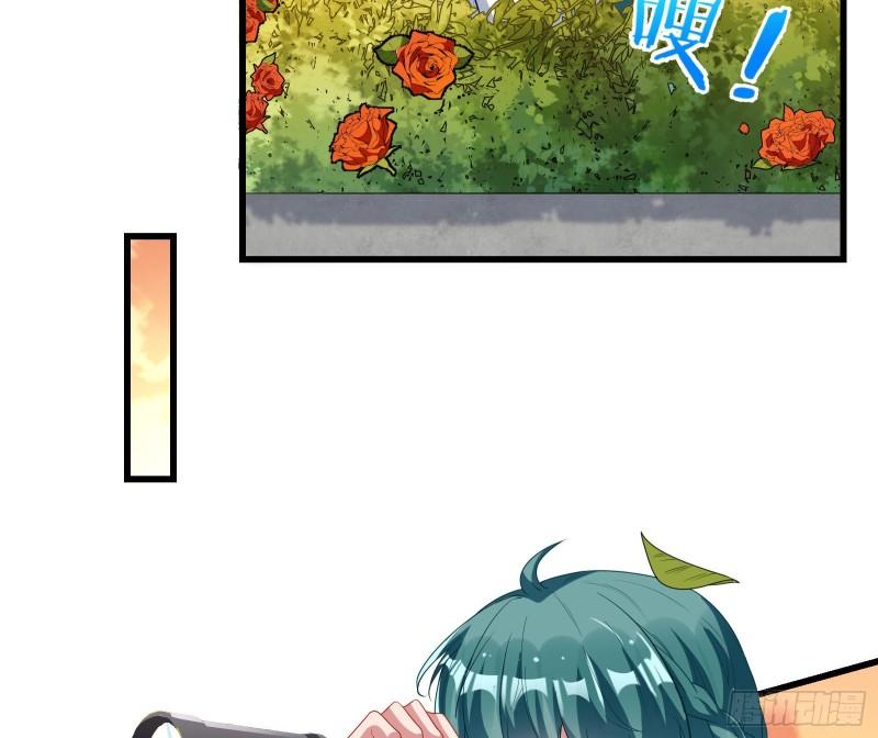 万渣朝凰第四季免费全集漫画,深夜行刺1图
