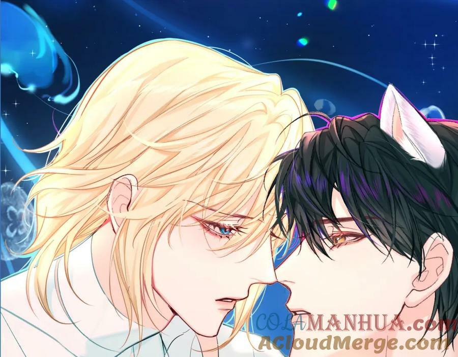 人鱼陷落的作者是谁漫画,第7期 V我50看白楚年被宠集锦！（日更中）1图