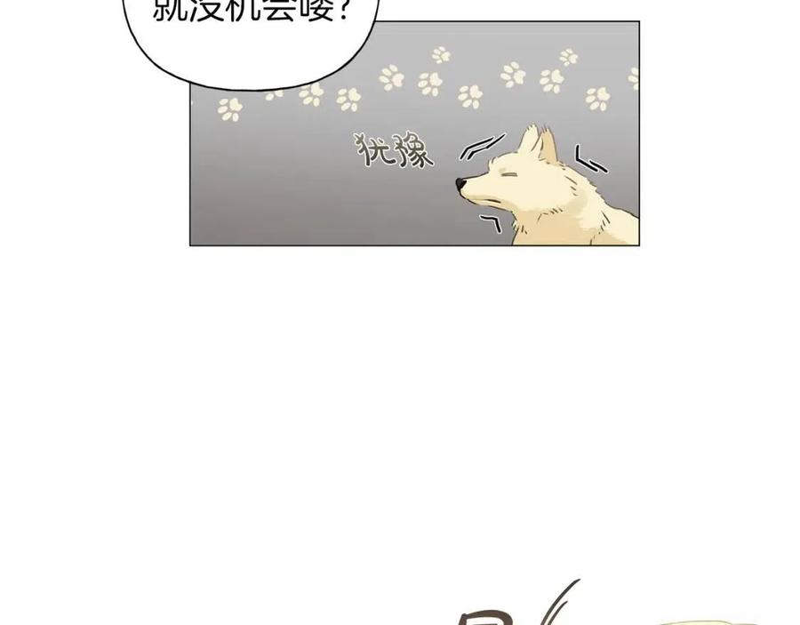 金发精灵师之天才的烦恼第24集漫画,第50话 龙母找上门1图