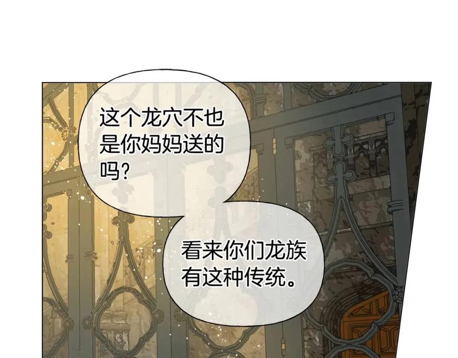 金发精灵师之天才的烦恼韩版漫画,第48话 憨批龙变身啦！1图