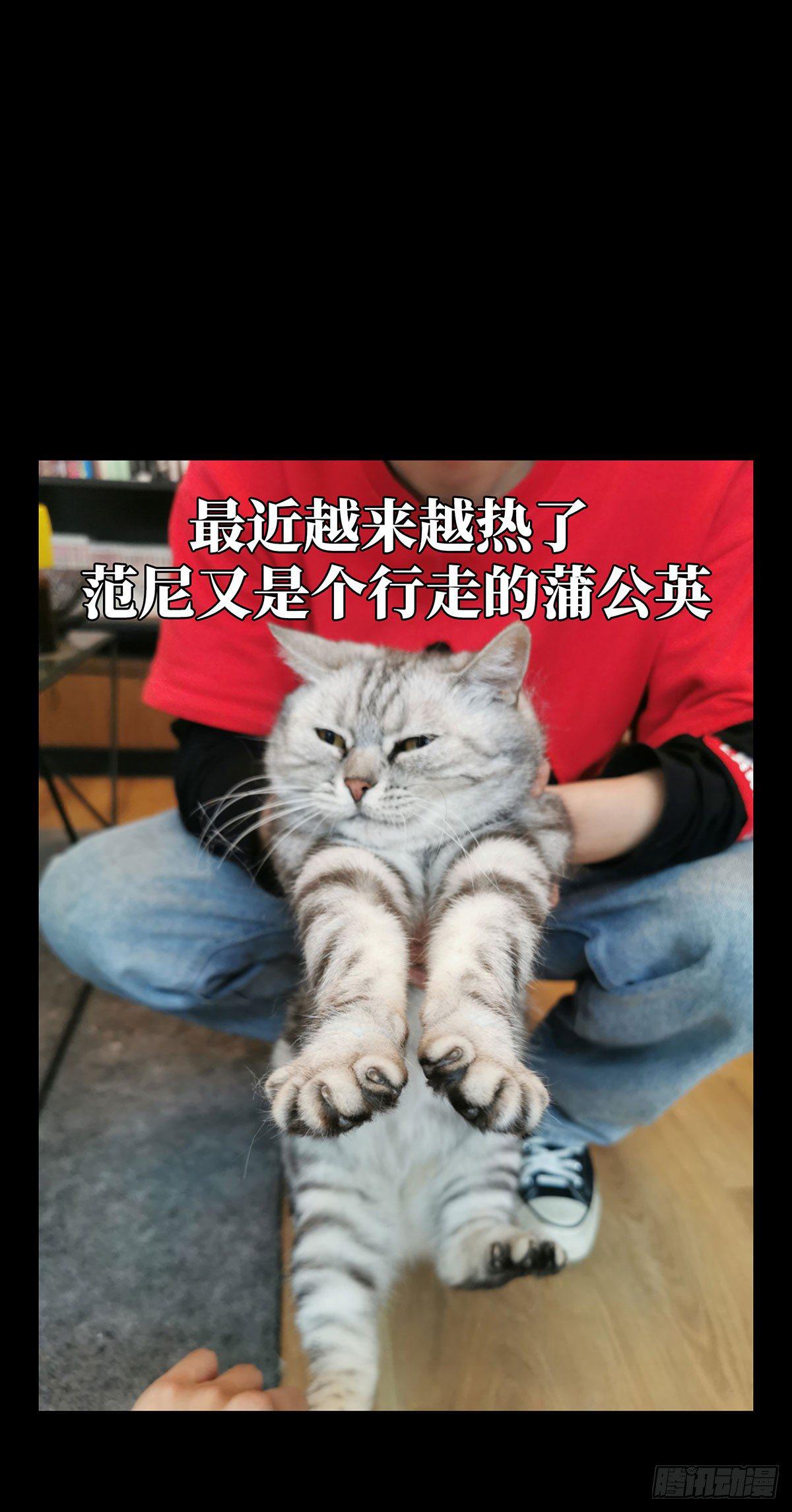 大象无形在线漫画漫画,第六十五章_病态上2图