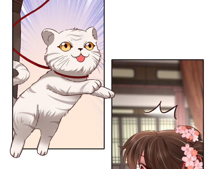 炮灰闺女的生存方式 免费漫画漫画,第11话 大白是老虎？1图