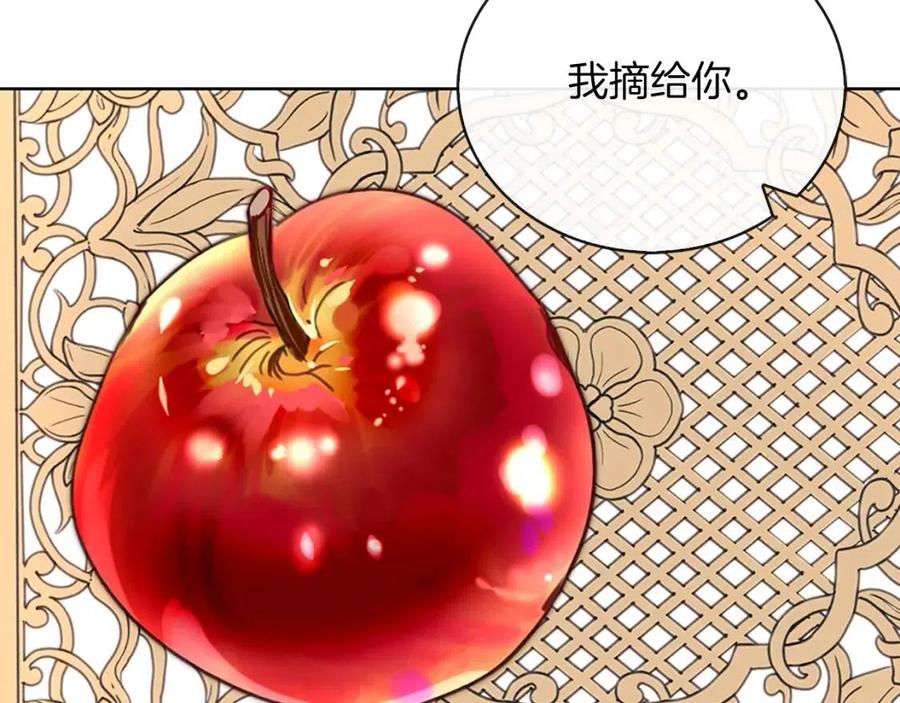 不要小看女配角漫画作者漫画,番外10 贾尼斯的老套路42图