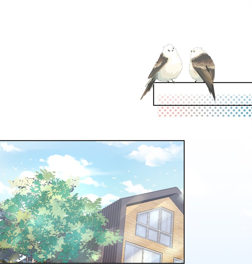 信息素说我们不可能漫画,童年初见 娃娃仇的开端1图