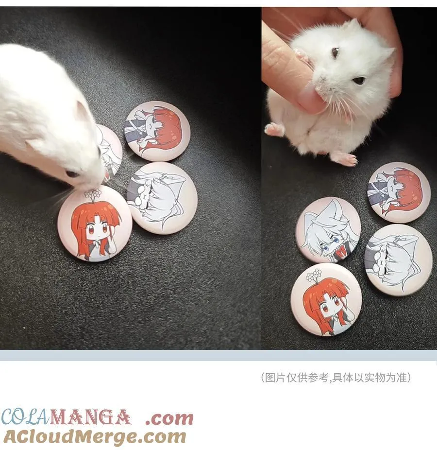 我的食物看起来很可爱漫画,公告 北京签售详情+抽奖1图