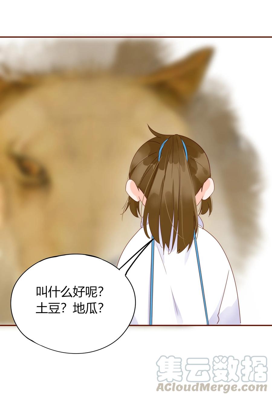 男配生存攻略漫画,058 一见钟情2图
