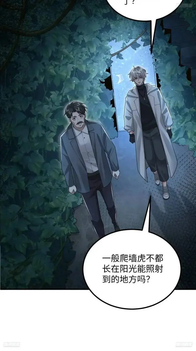 第一序列漫画,318 调查爬墙虎2图