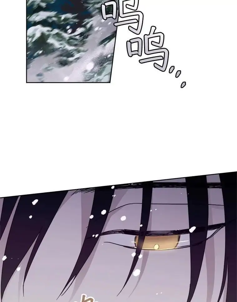 琪拉的美男图鉴漫画,285.协商2图