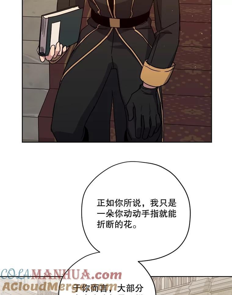 琪拉的美男图鉴漫画,278.成为原配的目的2图