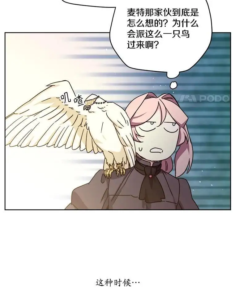 琪拉的美男图鉴漫画,291.商业之神的使徒2图