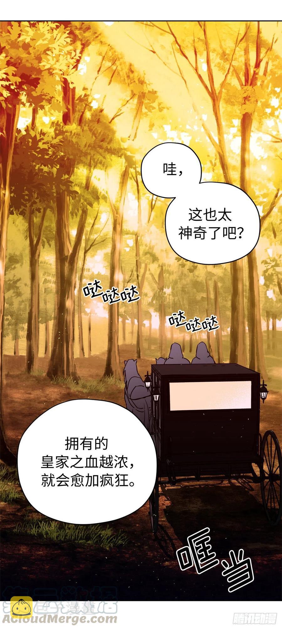 琪拉的美男图鉴漫画,190.主人是第一个认可我的人1图