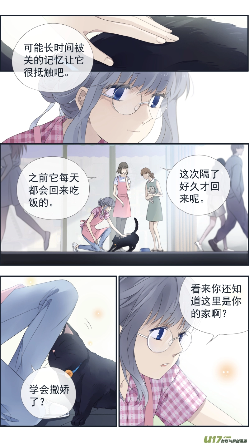 蓝翅漫画完整版免费奇妙漫画漫画,第136回 橘子012图