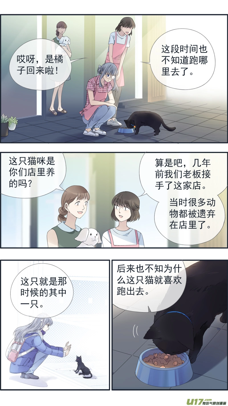 蓝翅漫画完整版免费奇妙漫画漫画,第136回 橘子011图