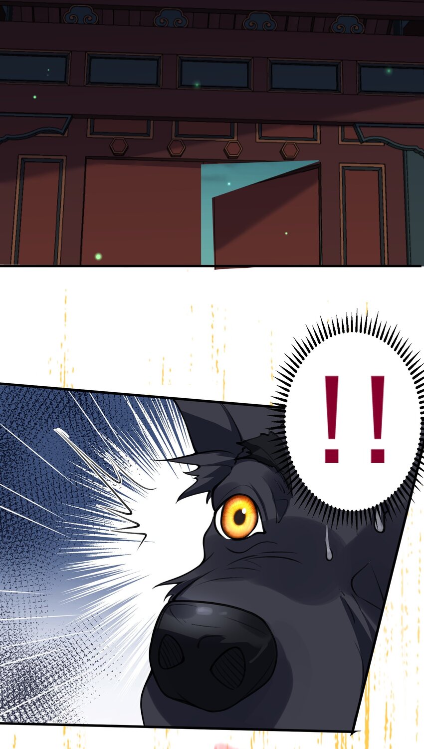 我什么时候无敌了漫画,037 圣龙1图