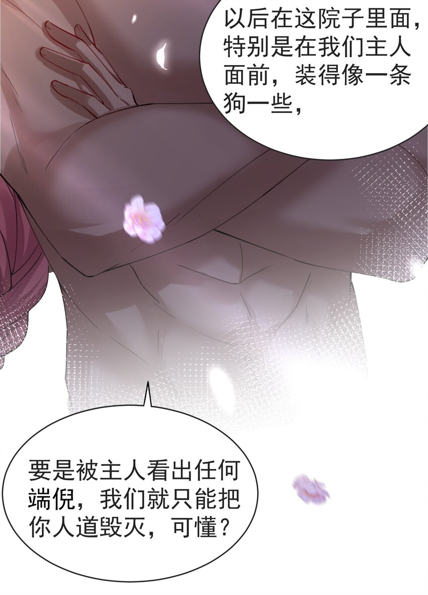 我什么时候无敌了漫画,037 圣龙1图