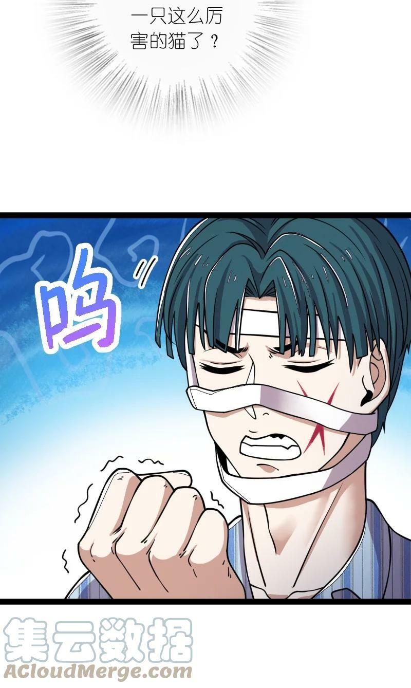 武帝隐居之后的生活漫画,246 传授武道2图