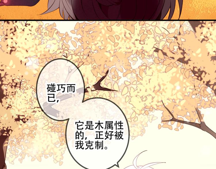 吾凰在上漫画免费漫画,第31话 凰炎国的流行2图