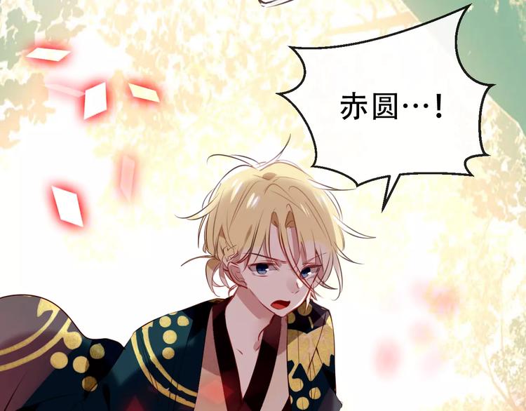 吾凰在上第二季免费观看在线漫画,第13话 神秘的皇族血统2图