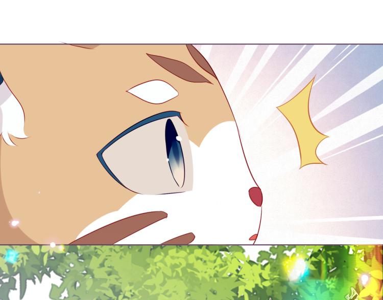 吾凰在上第二季免费观看在线漫画,番外 无夜城的一只猫1图