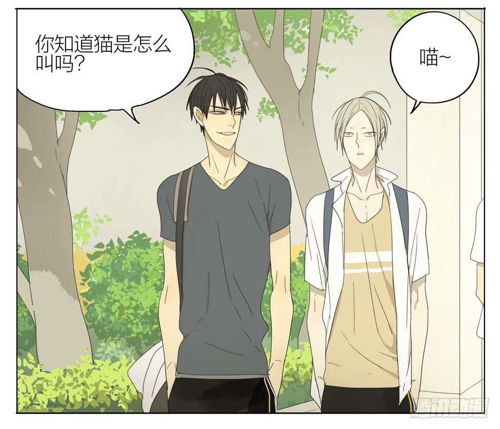 19天漫画,猫怎么叫2图
